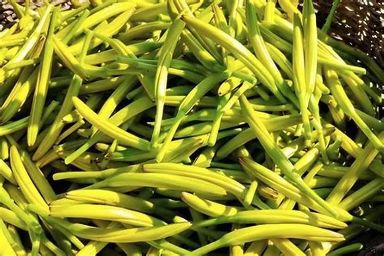 黄花菜正确施肥方法