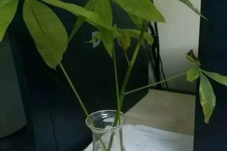 我想请问一下氮肥、磷肥(磷酸二铵)、钾肥(氯化钾)的价格分别是多少