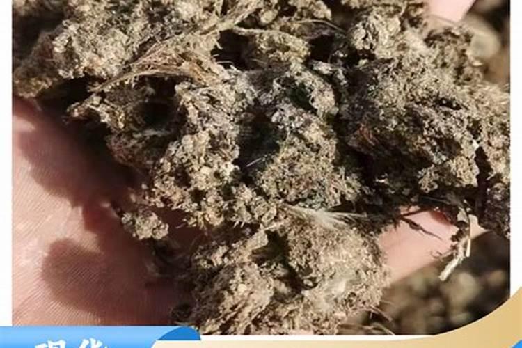 沤烂的苹果液肥可以浇花吗