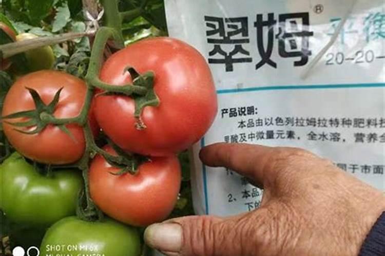 嘉施利水溶肥怎么样一顿多少钱