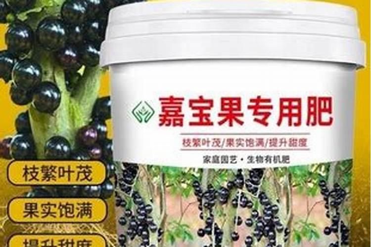 嘉多宝果树怎样浇水,施肥？