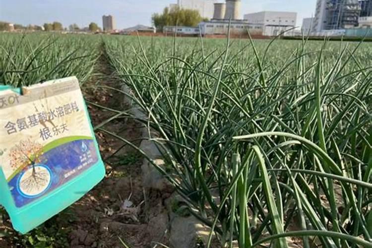 钙镁磷肥怎样用效果好 钙镁磷肥使用注意事项有哪些