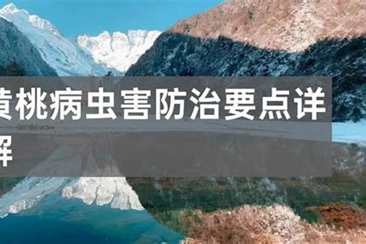 果树全年都使用水溶肥可以吗,水溶肥怎么用效果好