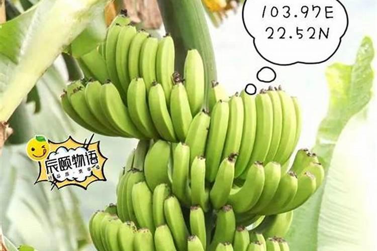 山东有实力的肥料公司有哪些？
