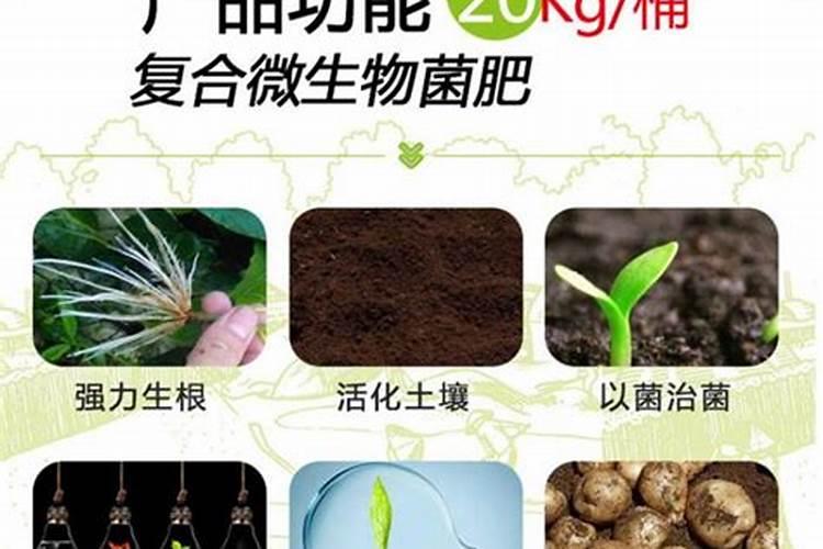 化肥含量多少算标准 化肥含量不够是属于假肥吗