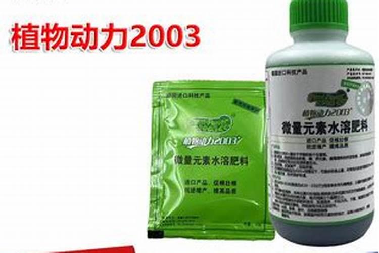 脐橙秋梢什么时候放 该如何合理施肥
