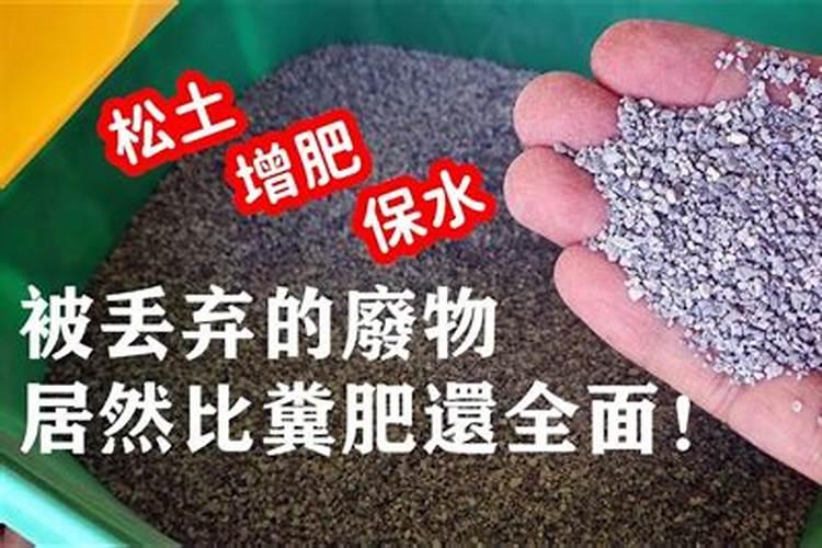 西葫芦施什么肥能高产
