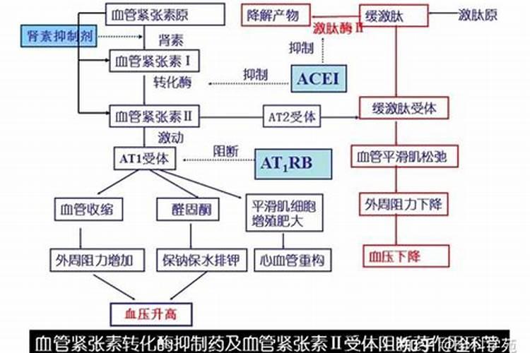 高抗素小麦播种后多久可以施肥？