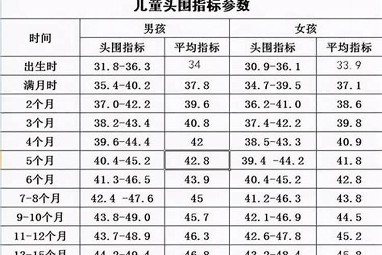 枣树一年打药时间表