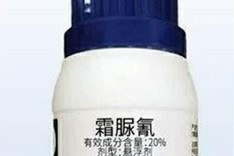 毛竹施肥要点