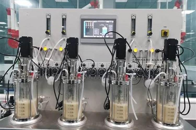 酶解鱼蛋白肥料功效