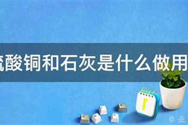 柑橘树用硫酸铜单独怎么打