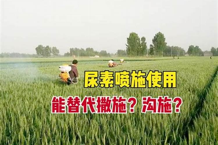 白芍可用哪些肥料