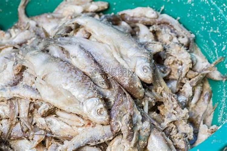 鱼蛋白肥料为何禁止