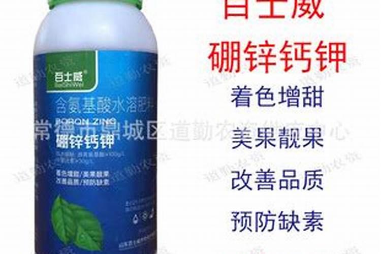 黄瓜果实膨大期如何使用叶面肥