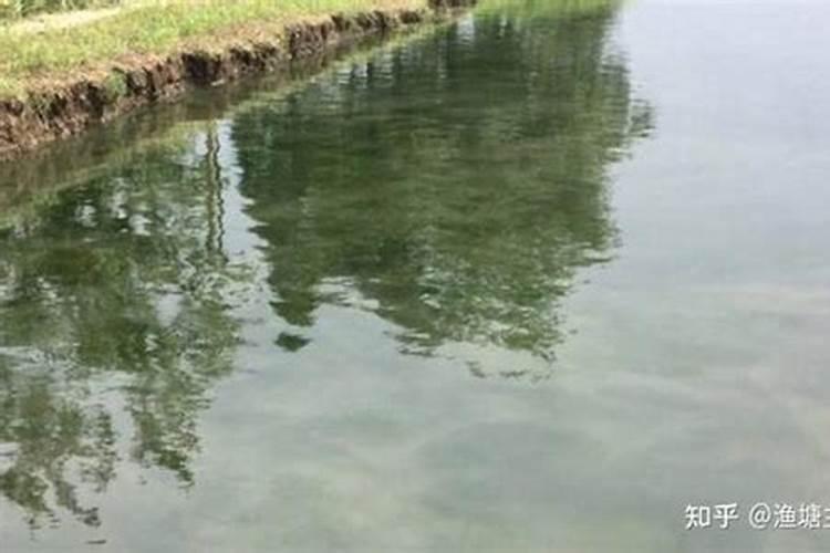 复合肥化成水可以浇菜吗