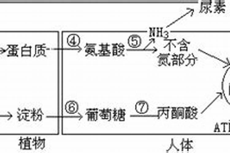 苹果树喷什么叶面肥好