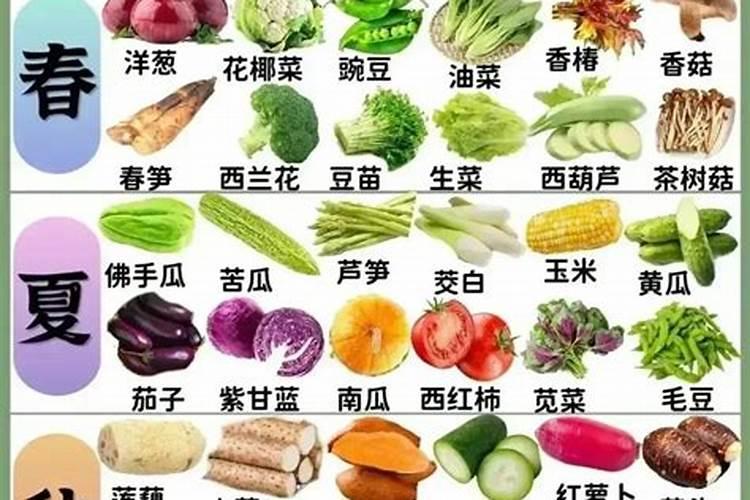 水溶肥是什么肥料