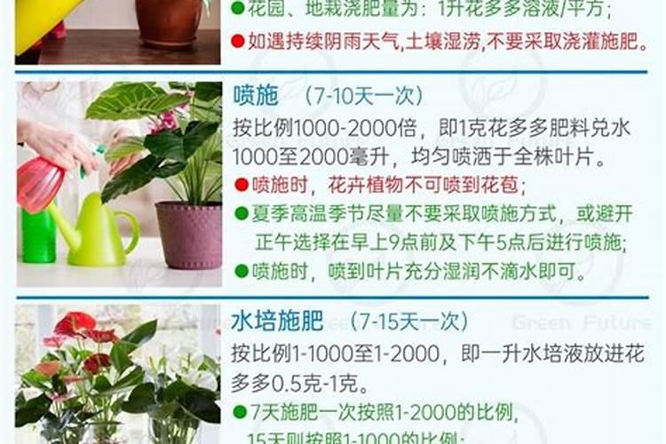 复方氨肽素片的功效