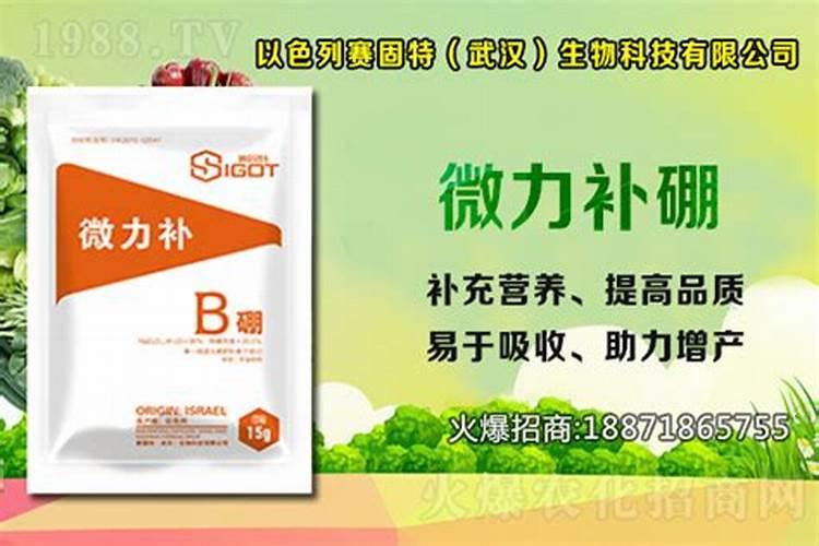 硼肥有哪些
