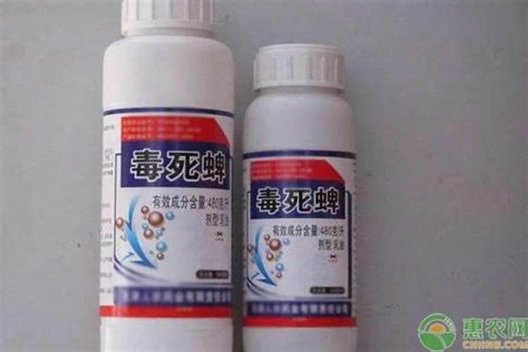 葡萄如何施肥