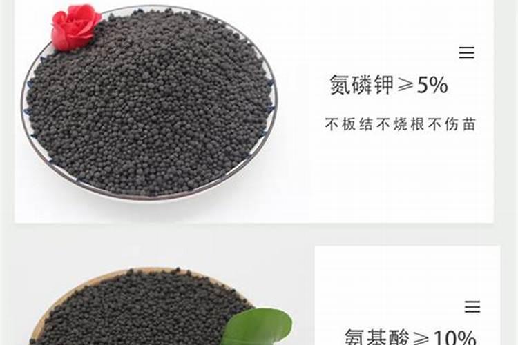 发财树用什么肥料最好
