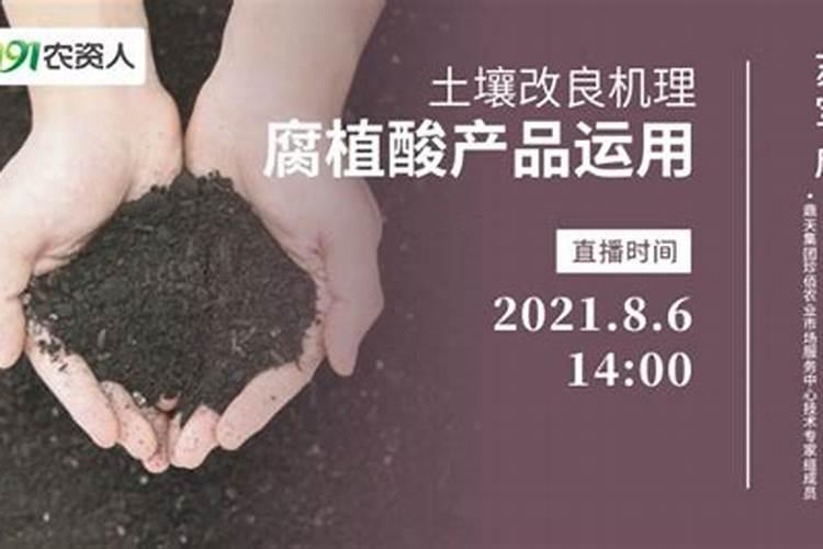 君子兰用什么肥料,怎么配制