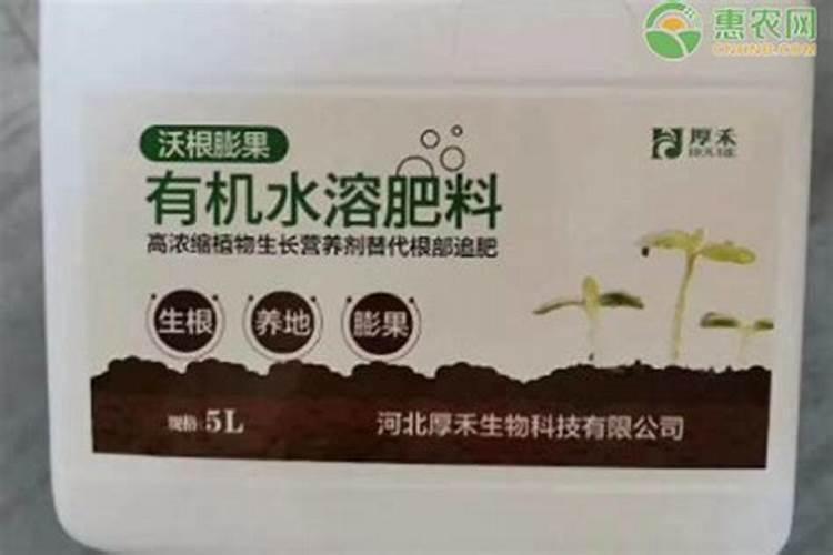 孔雀竹芋怎么施肥