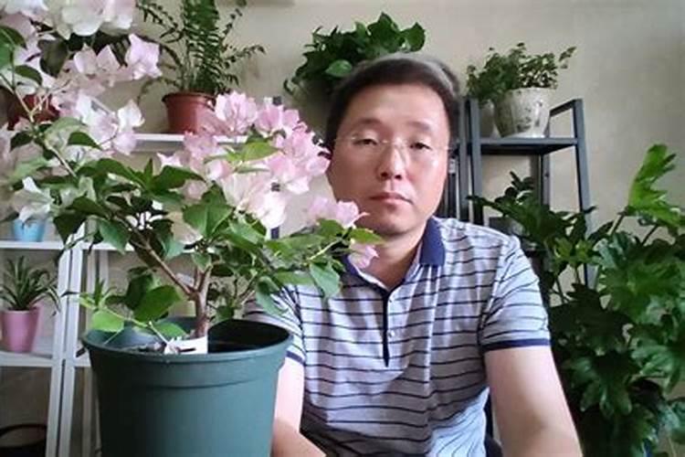 黄瓜定植后蹲苗方法