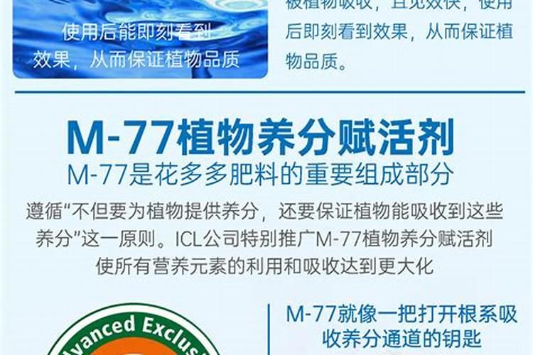 番茄肥害症状是什么