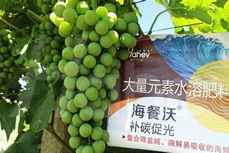 葡萄谢花后施什么肥好