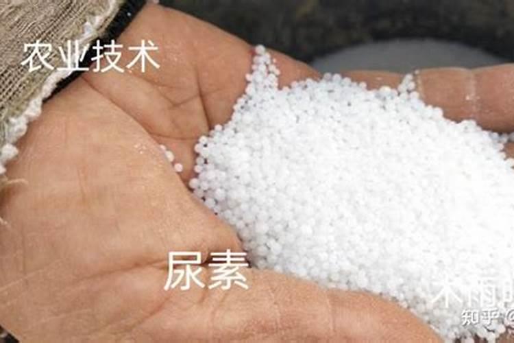 磷肥与尿素能不能混合