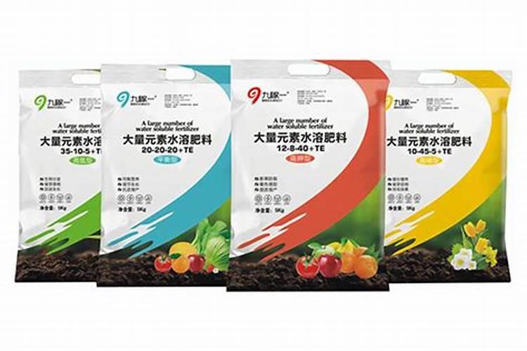 生姜怎么种才能高产