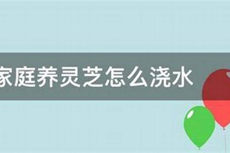 竹皇草的种植技术？什么时候种？