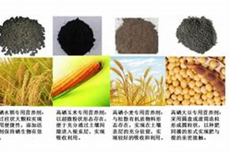 撒过磷肥可以立即种大蒜吗