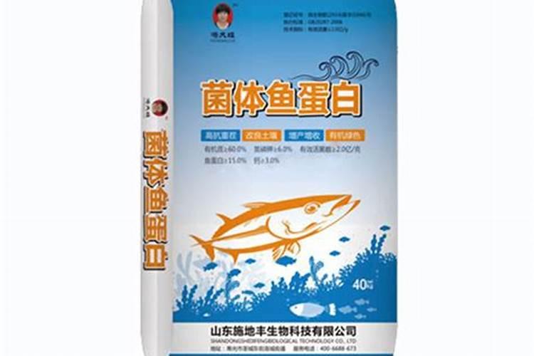 发酵鱼蛋白为什么发臭了