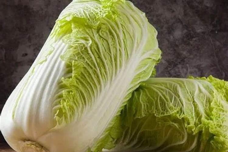 肥料有哪些