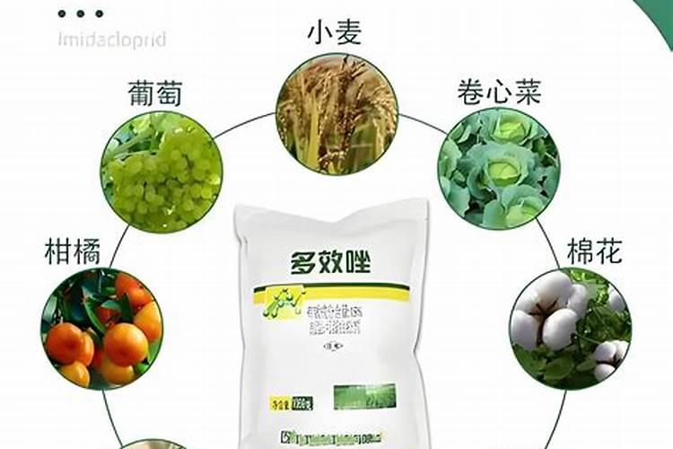 多效唑与叶面肥能混用吗