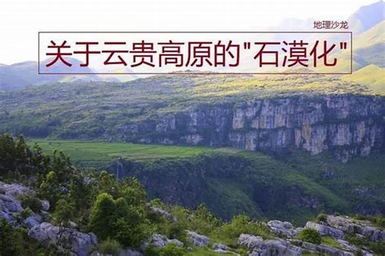 富源花魔芋种植需要注意什么