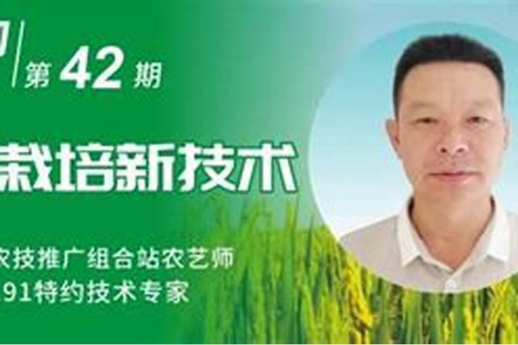 果树用糖醇钙和海澡钙哪种好