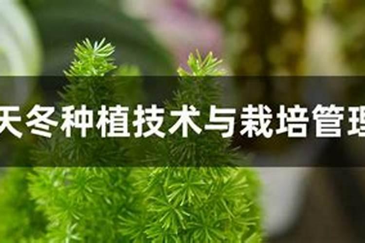 黄芪怎么除草,要用什么除草剂？黄芪在什么温度下除草最安全？