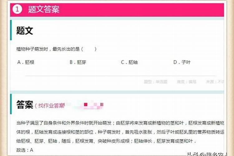 SiO2 Ca(OH)2 反应吗