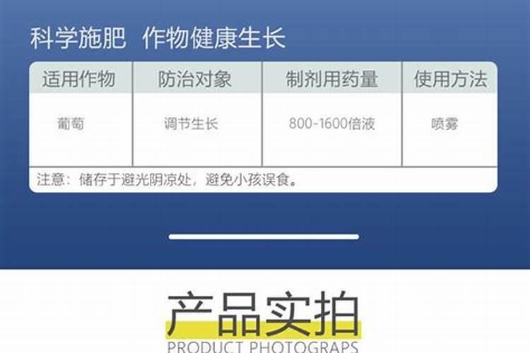 芸苔素怎么给茶花用？