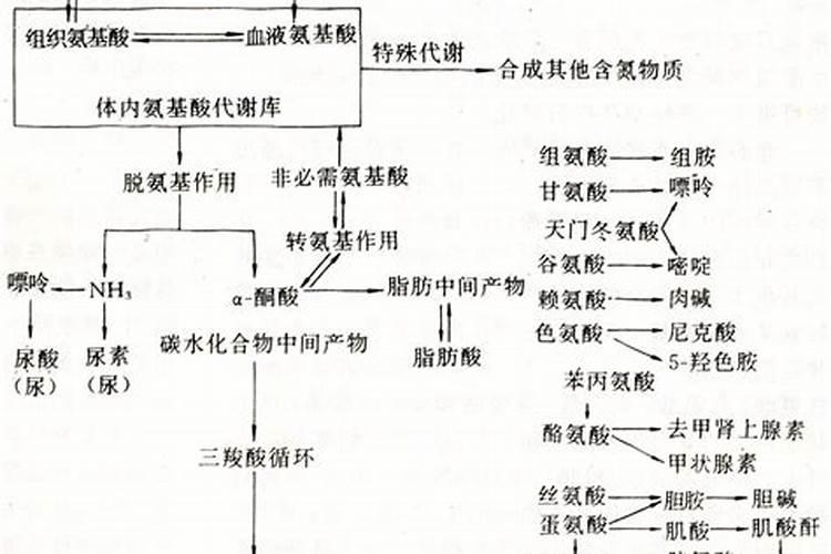 氮肥 钾肥和氨基酸肥料的异同