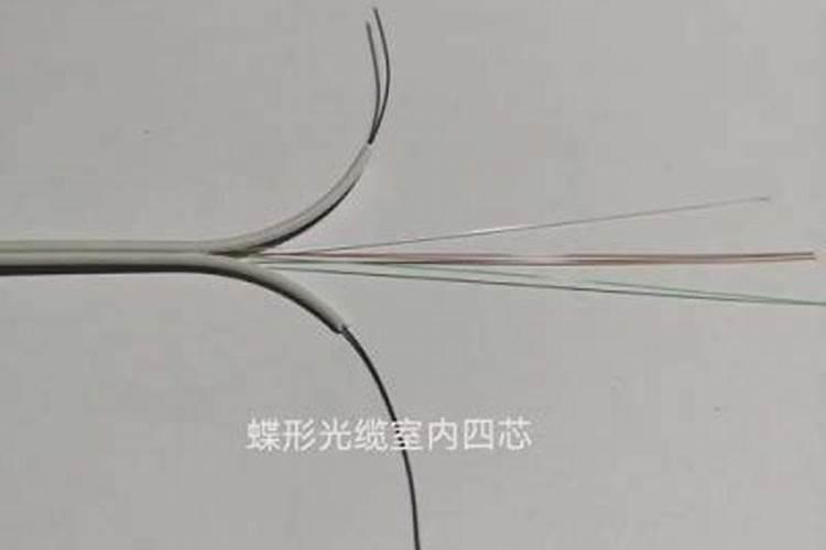 怎样给水培花卉蔬菜施肥？