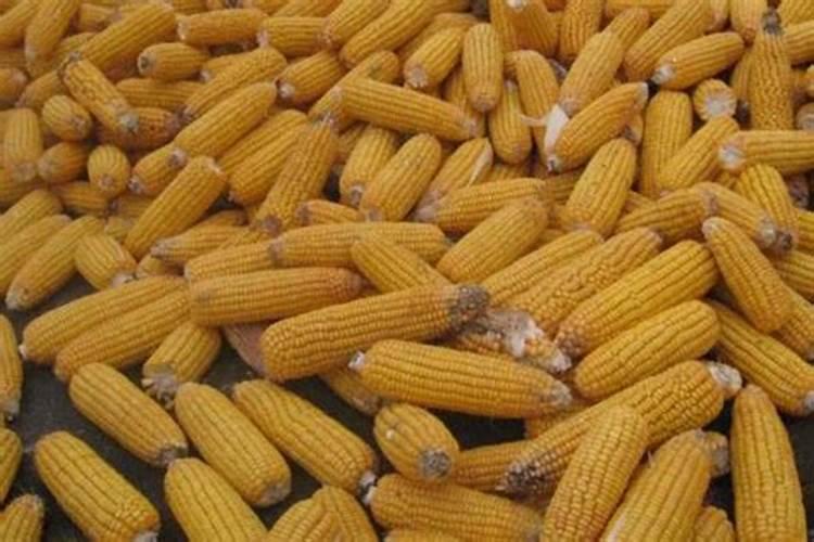 玉米田用0.04%的芸苔素脱水多少能打多少亩地？