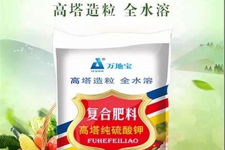 盆栽花什么时候施肥