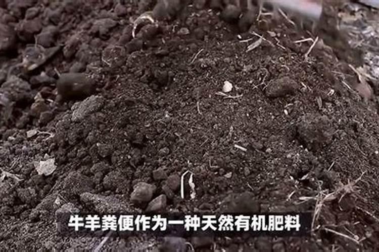 我的皮肤过敏好了后,变得非常干,而是还脱皮,应该采取什么措施？
