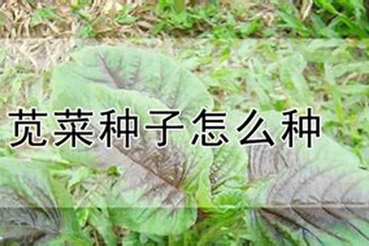 氯化铵可以做肥料吗
