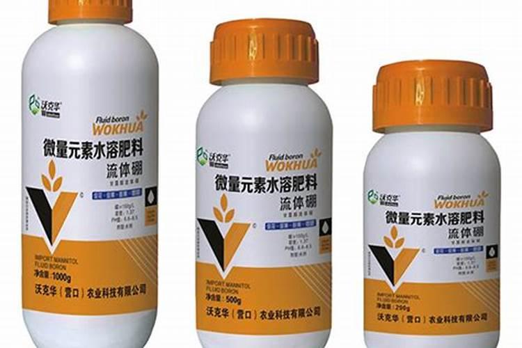 月季适合什么肥料
